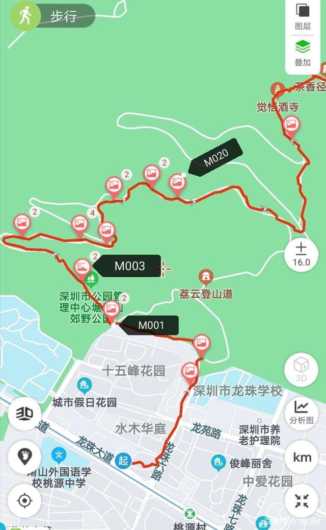 亲子户外塘朗山登山看猴子和松鼠2022410周日