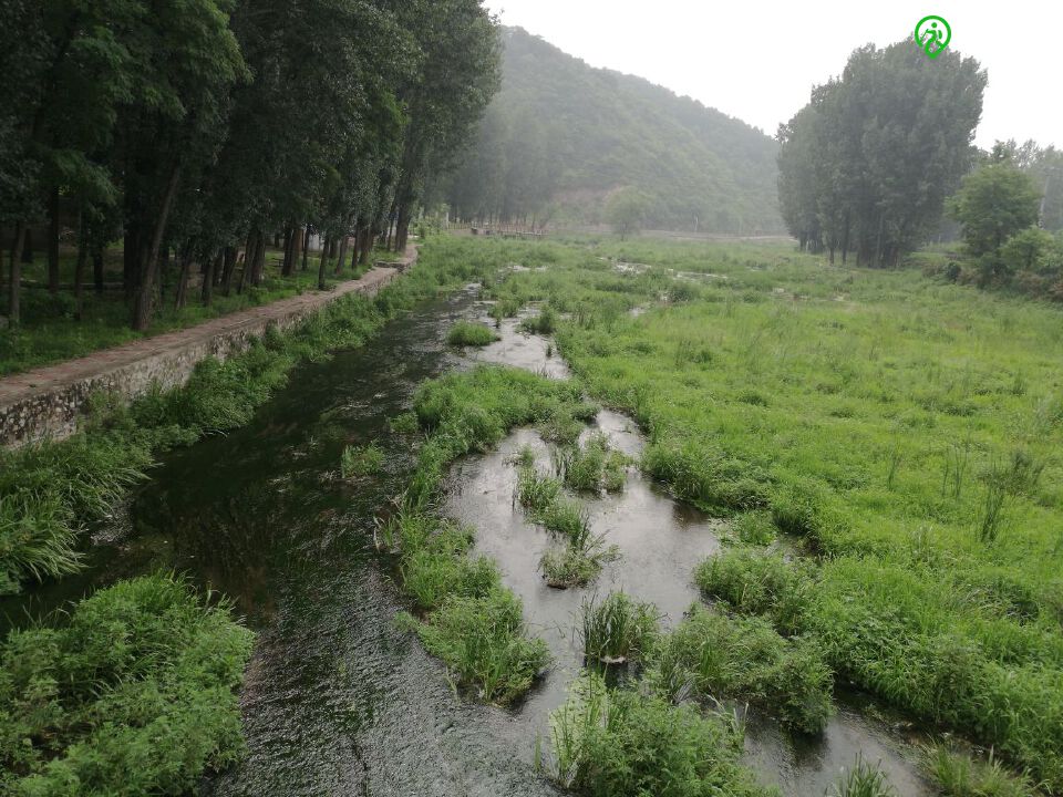 芳草萋萋青山伴烟波茫茫白鹭飞溯源怀沙河怀九河