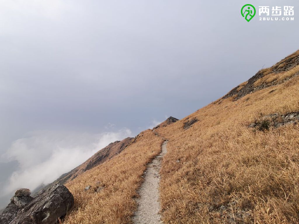 10301031八面山露营成行有位