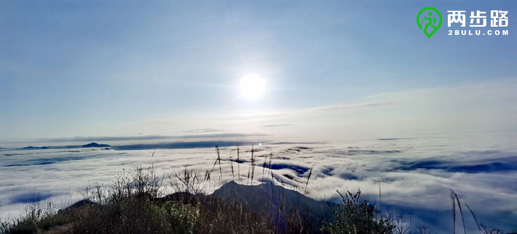 10301031八面山露营成行有位