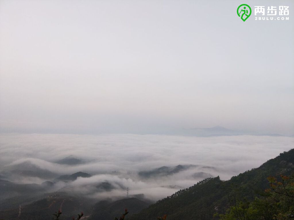 古寺-羊城山鸡-莲池-山鸡-美梦成真-悬崖-莲花峰-美梦成真