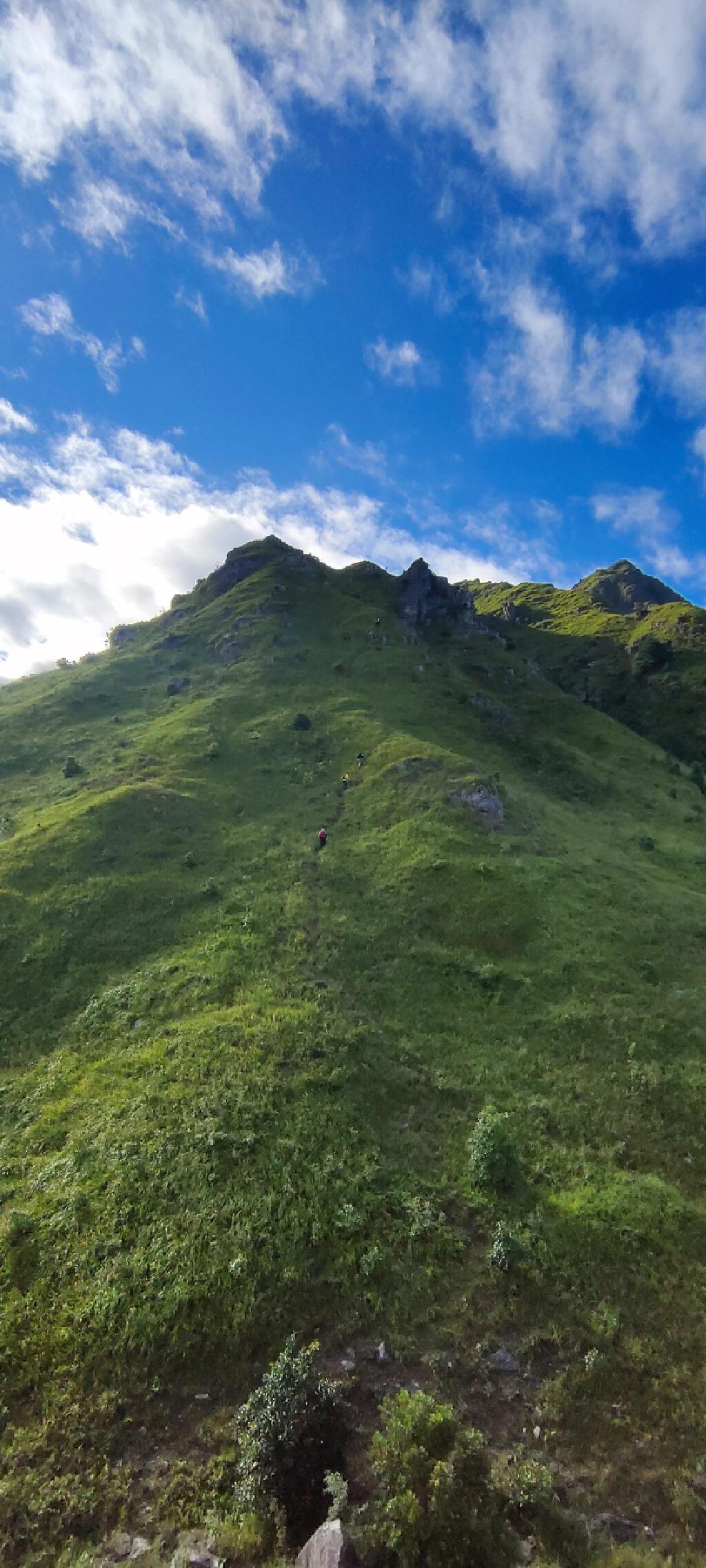 户外活动 | 约伴乳源狗尾嶂分水线,又叫分水狗和非常规狗尾嶂.