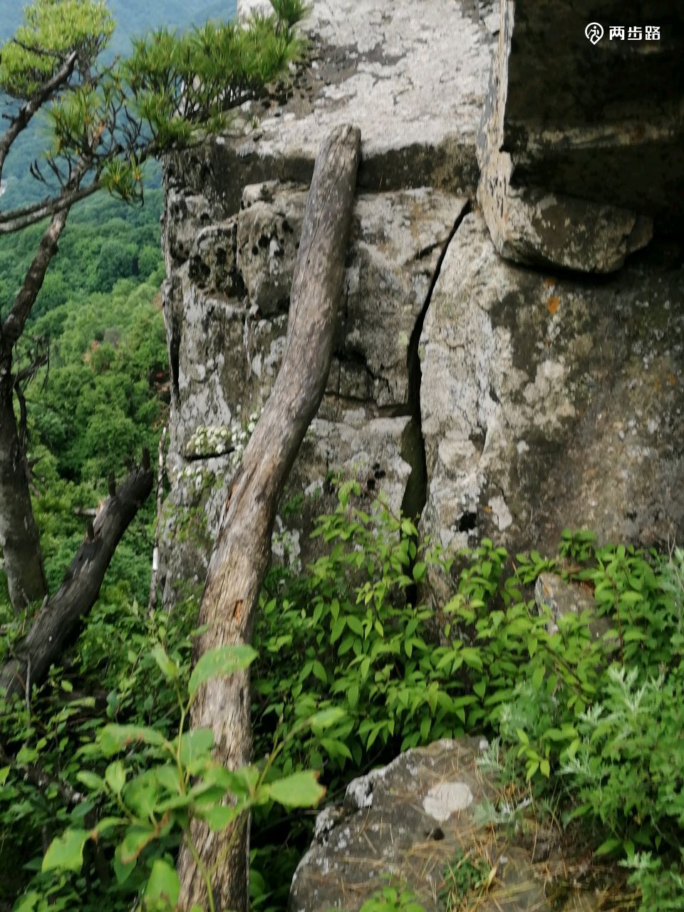寻访终南山八卦顶,隐修人张至顺道长的茅棚