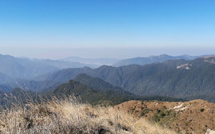 0321周日0845高塘石地铁b出口猪鳝凤鸡牛鹿线