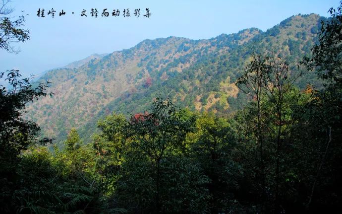 行程亮點桂峰山省級森林公園位於惠州市龍門縣西北部桂峰山東麓,海拔