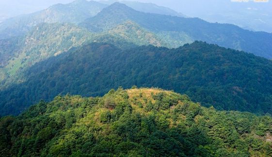 登高望遠 攀登廣州第五高峰【桂峰山】 |戶外運動|兩步路戶外旅遊約伴