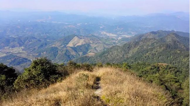 行程亮點桂峰山省級森林公園位於惠州市龍門縣西北部桂峰山東麓,海拔