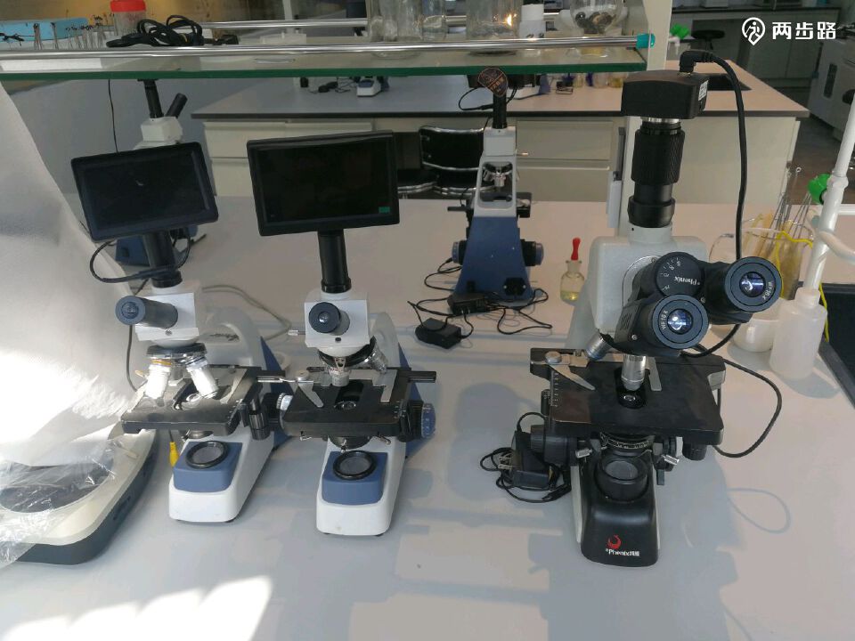 婺源:林奈实验室