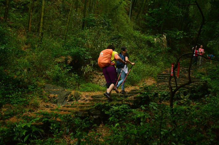 CggYtFdDeiKATmBgAAVjnDF4ebQ481_R_710_10000_Q90