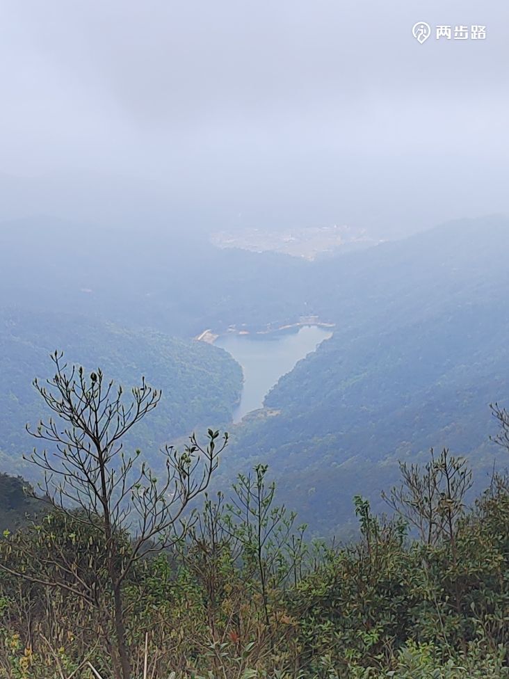 追一场花开,赴一场春约 | 从化通天蜡烛之"映山红"