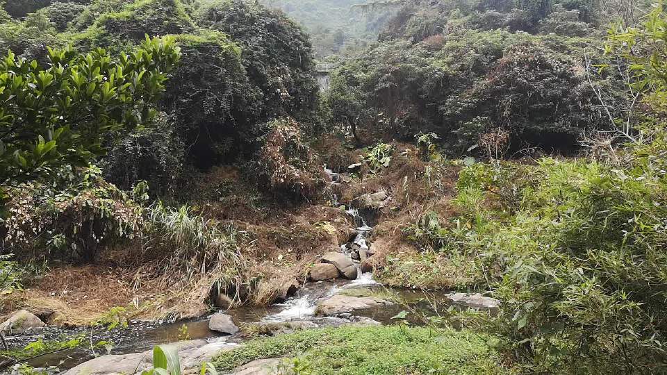 相關軌跡202110310846深圳馬巒山碧嶺瀑布群到華興寺