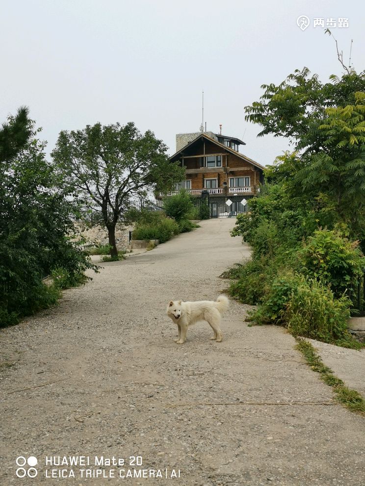 北京植物园西门,老望京,打鹰洼,好汉坡,塔后身