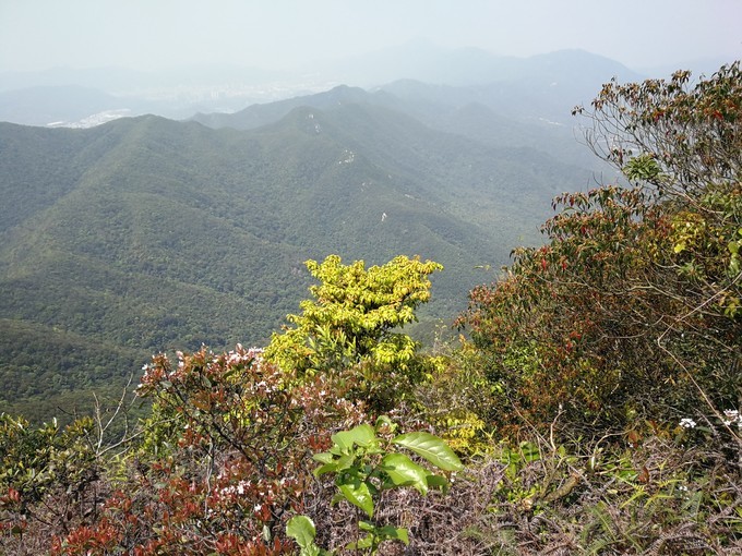 排牙山视野