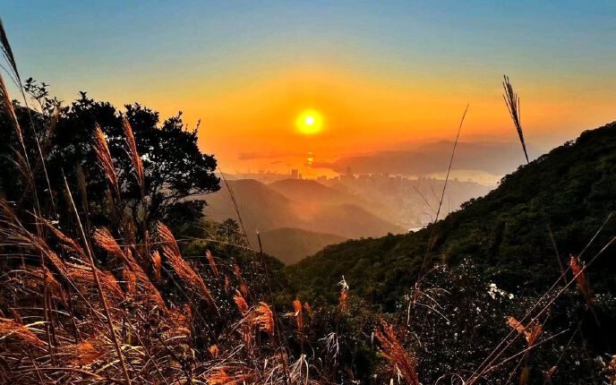 梧桐山迎接新年的第一个日出