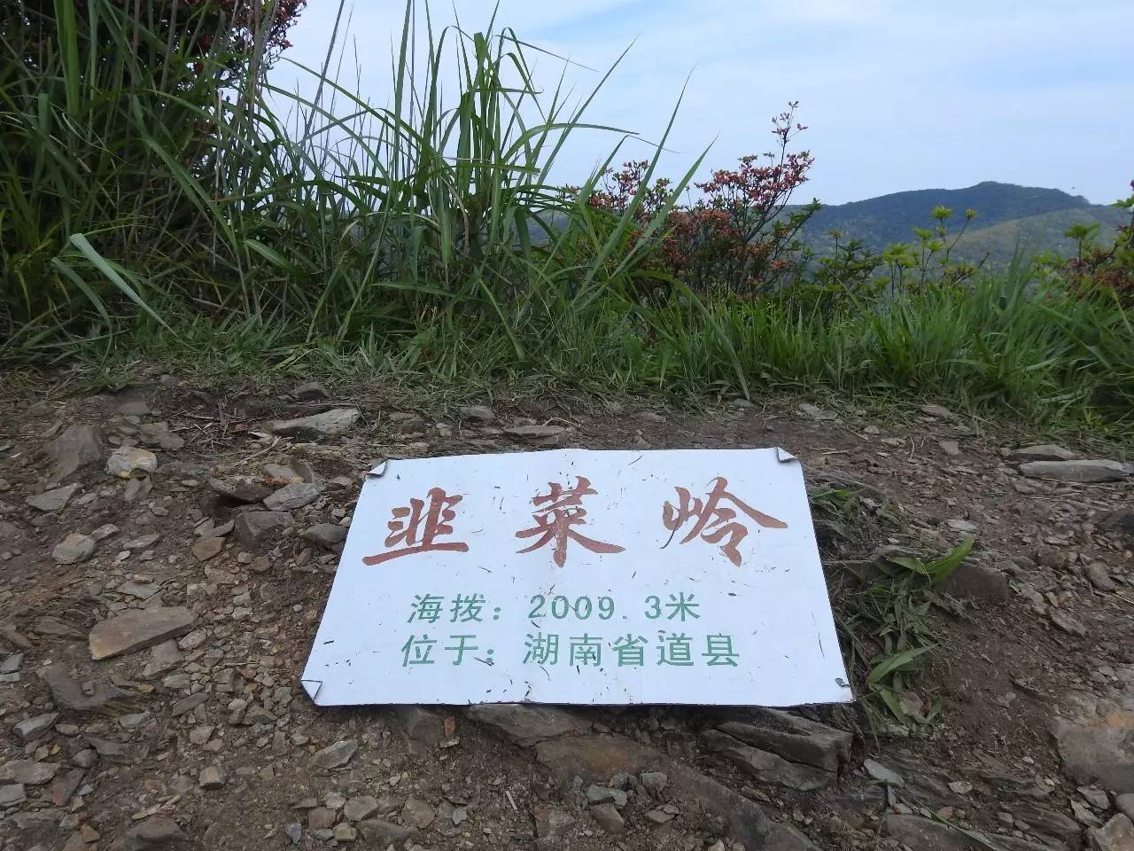 韭菜岭位于湖南道县月岩林场,海拔2009米,位于湖南与广西交界处的道县