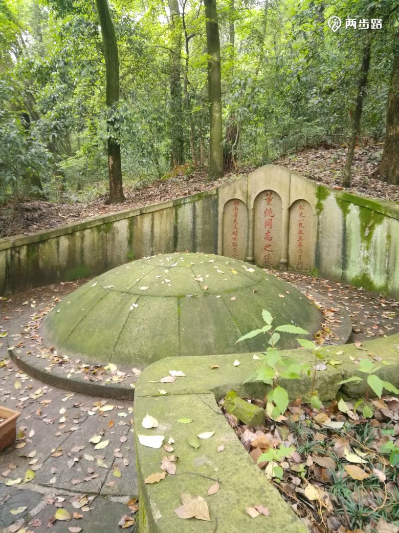 岳麓山探访名人墓