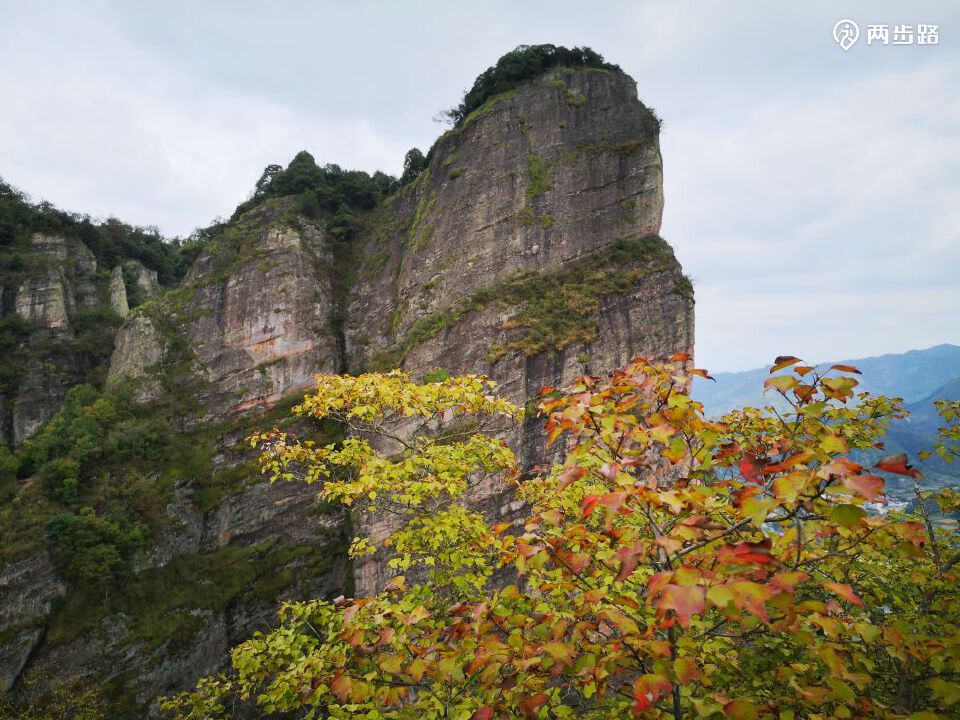 仙居响石山玩"象鼻蚌"