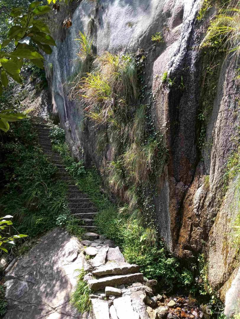 户外活动 | (台风顺延)8-5-6-岳西避暑-登妙道山-司空山 |户外运动|两