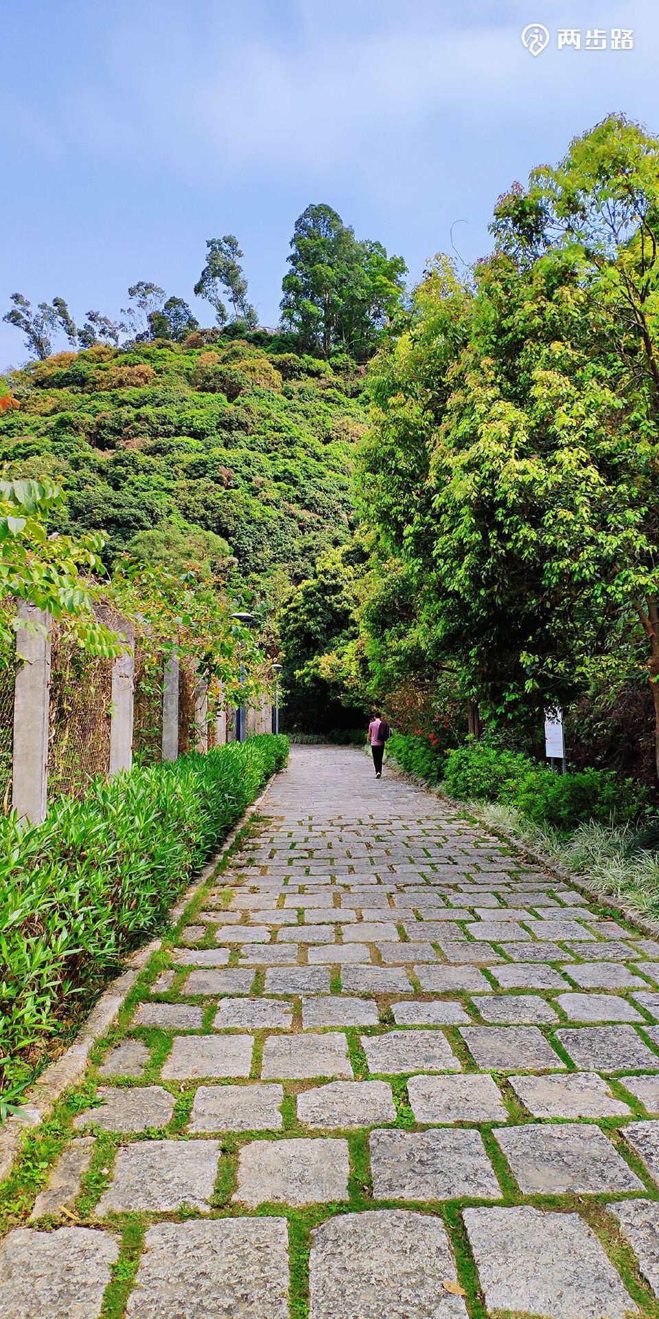 相关轨迹长岭陂梅林水库徒步