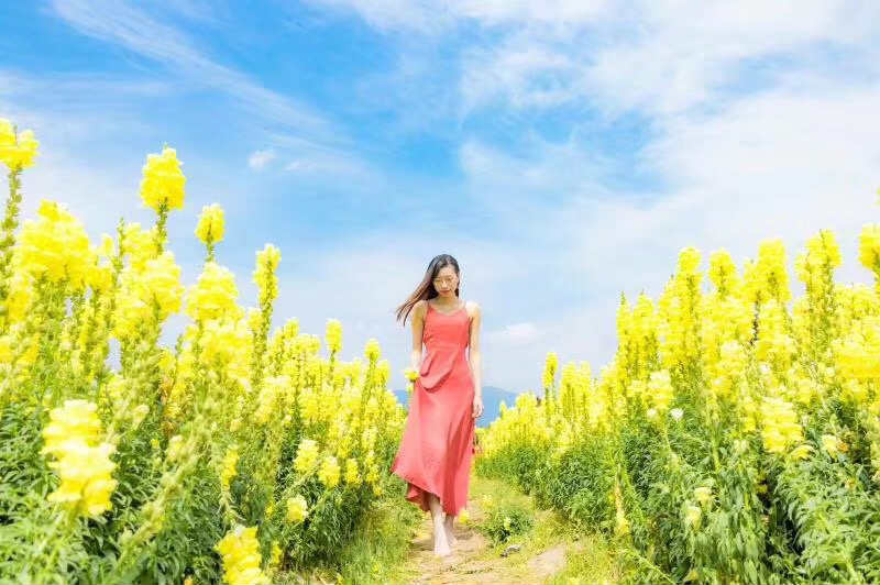 花海写真 (1)_meitu_5