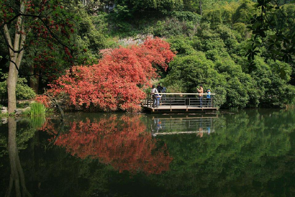 莫干山秋6.jpg