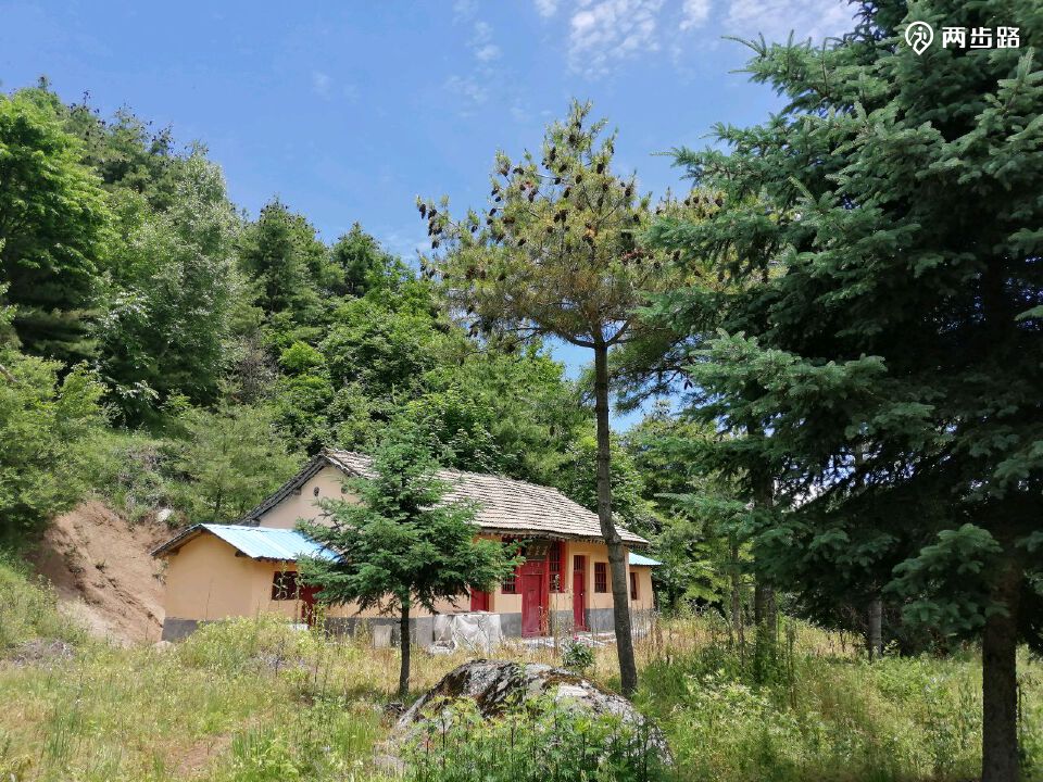 寻访终南山八卦顶,隐修人张至顺道长的茅棚