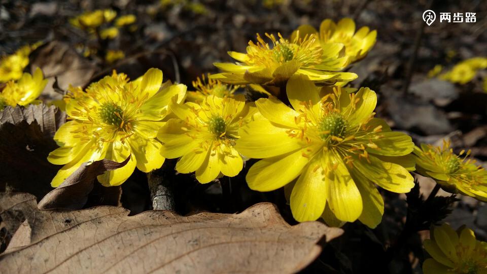 大小寒葱顶子环形穿越