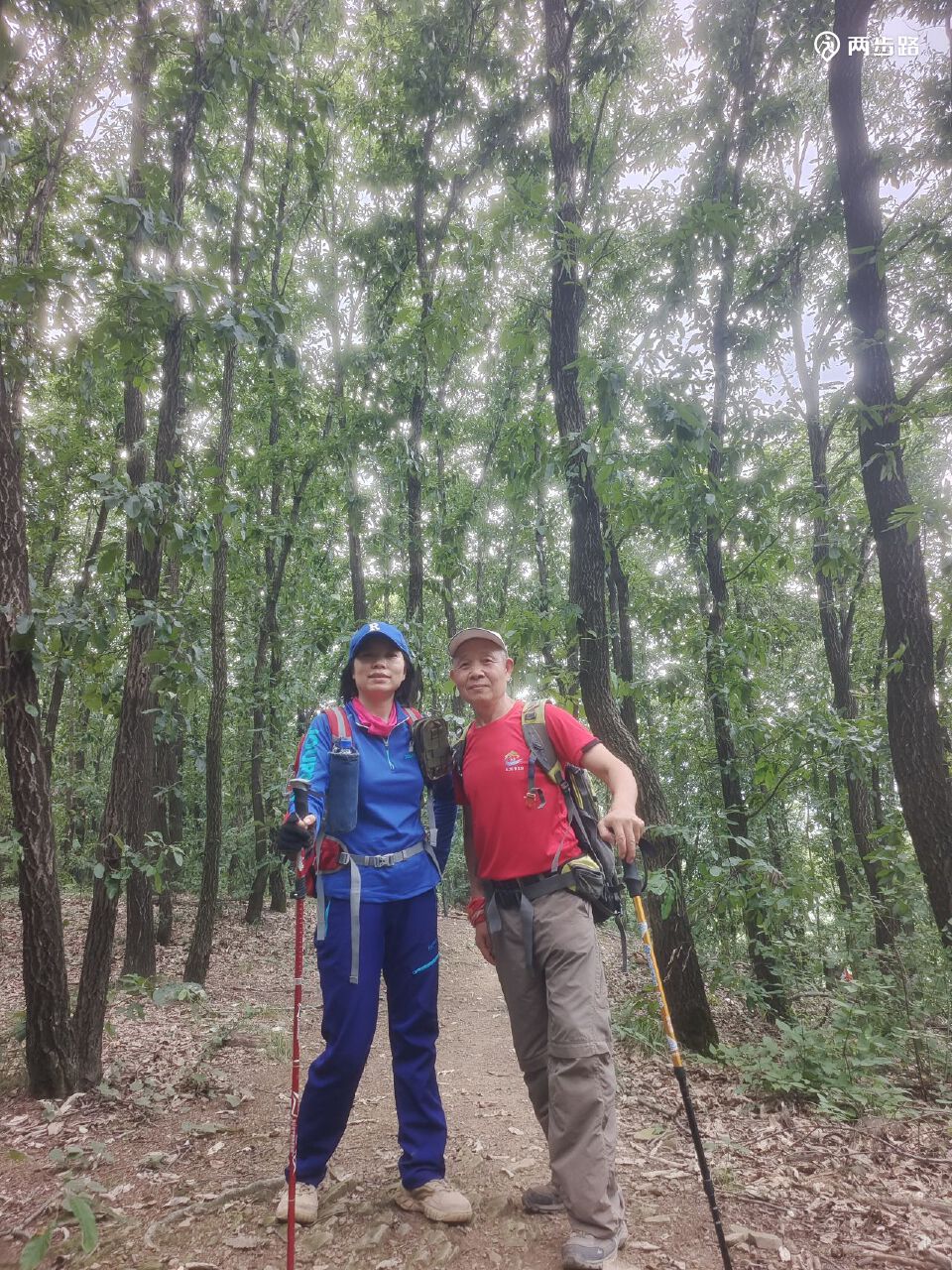 九真山野线徒步