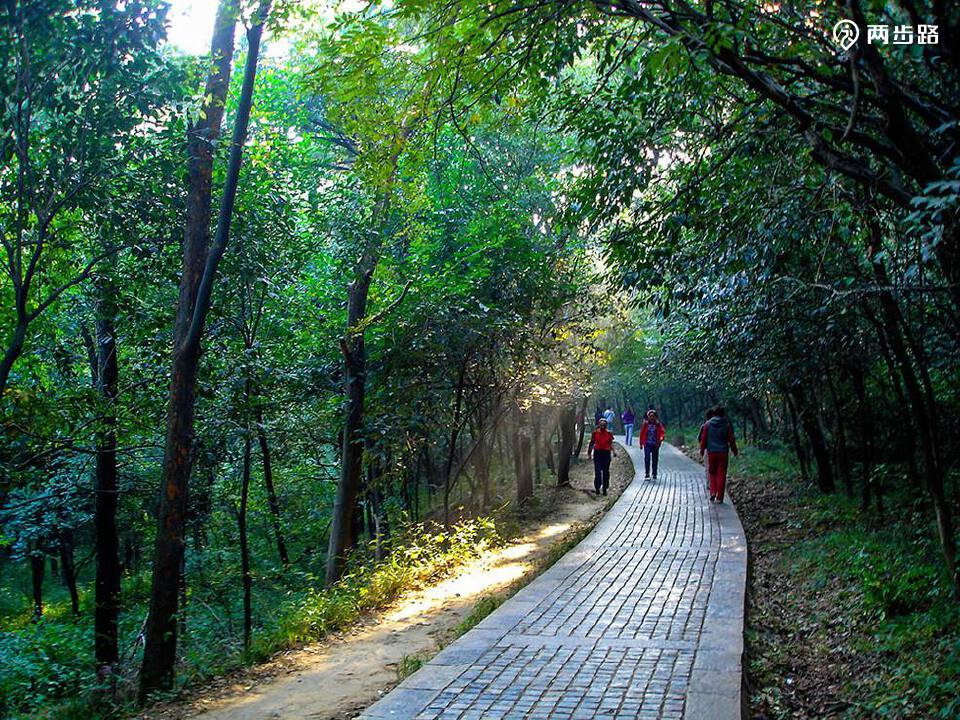 2012年女装流行趋势，流行什么穿搭怎么穿-华海博客