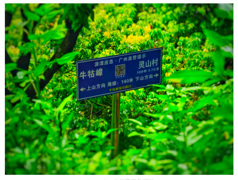 QQ截图20240726105454