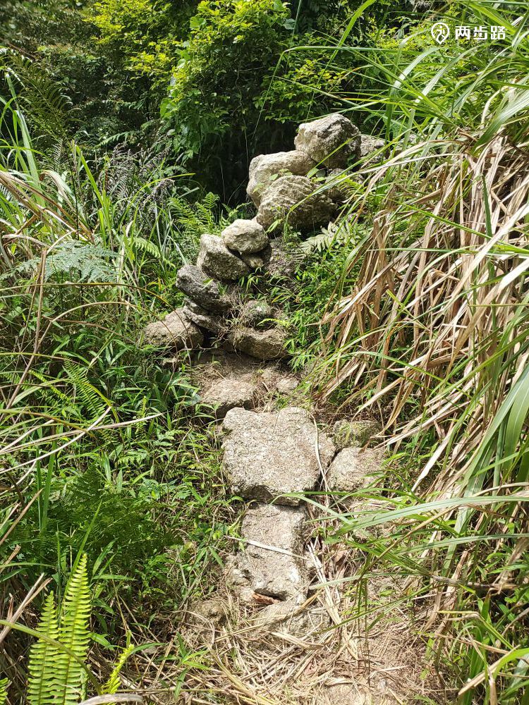 相关轨迹20210413高州大水坑