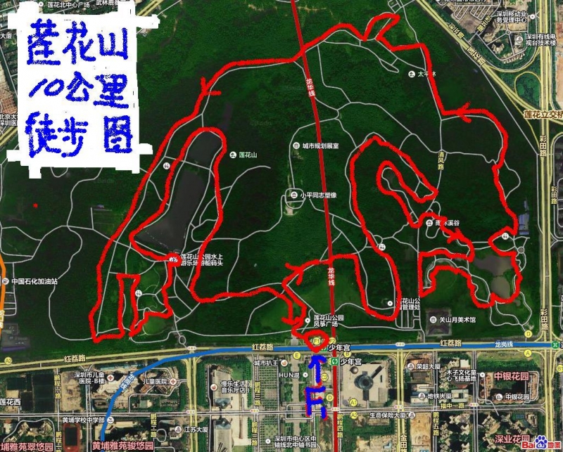 每周二晚莲花山十公里徒步不台阶不爬山音响闪光灯铁成行