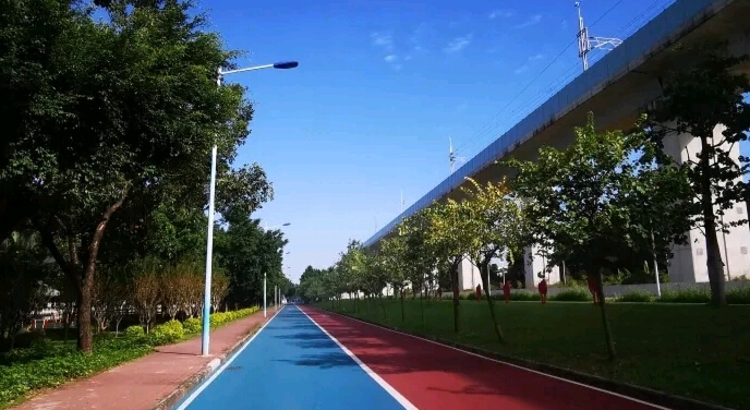 生物岛大学城跑步