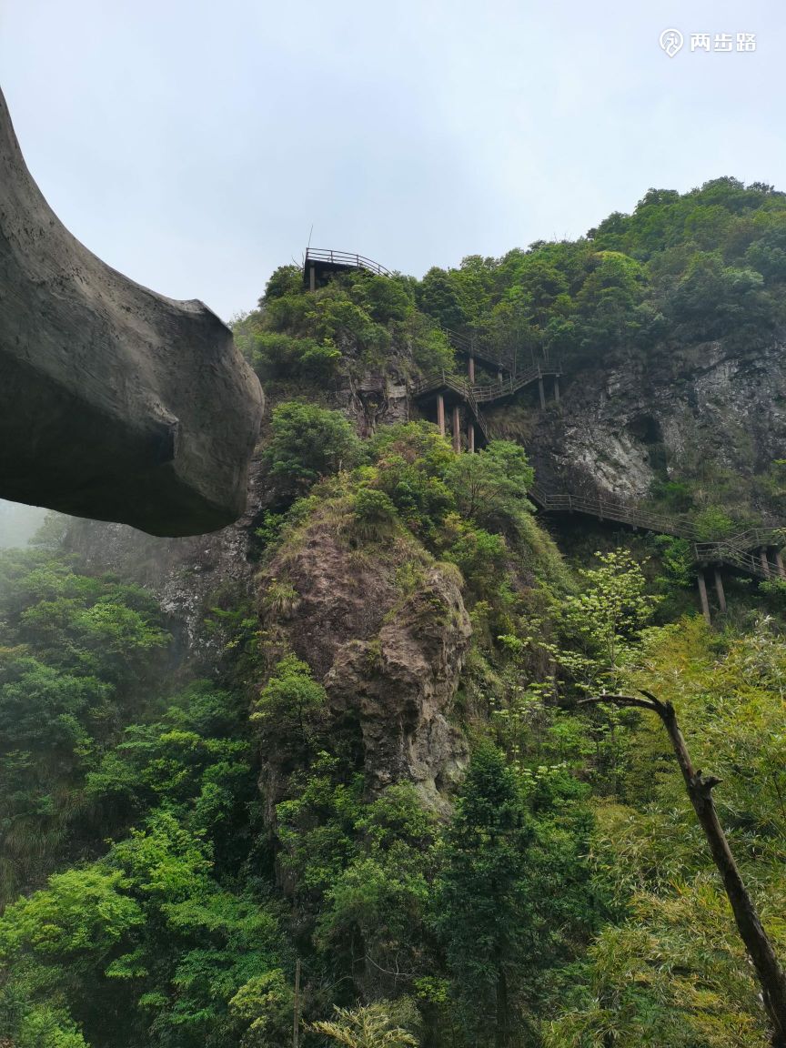 2022-04-23 09:27永嘉县小若岩～树洞～崖下库环线