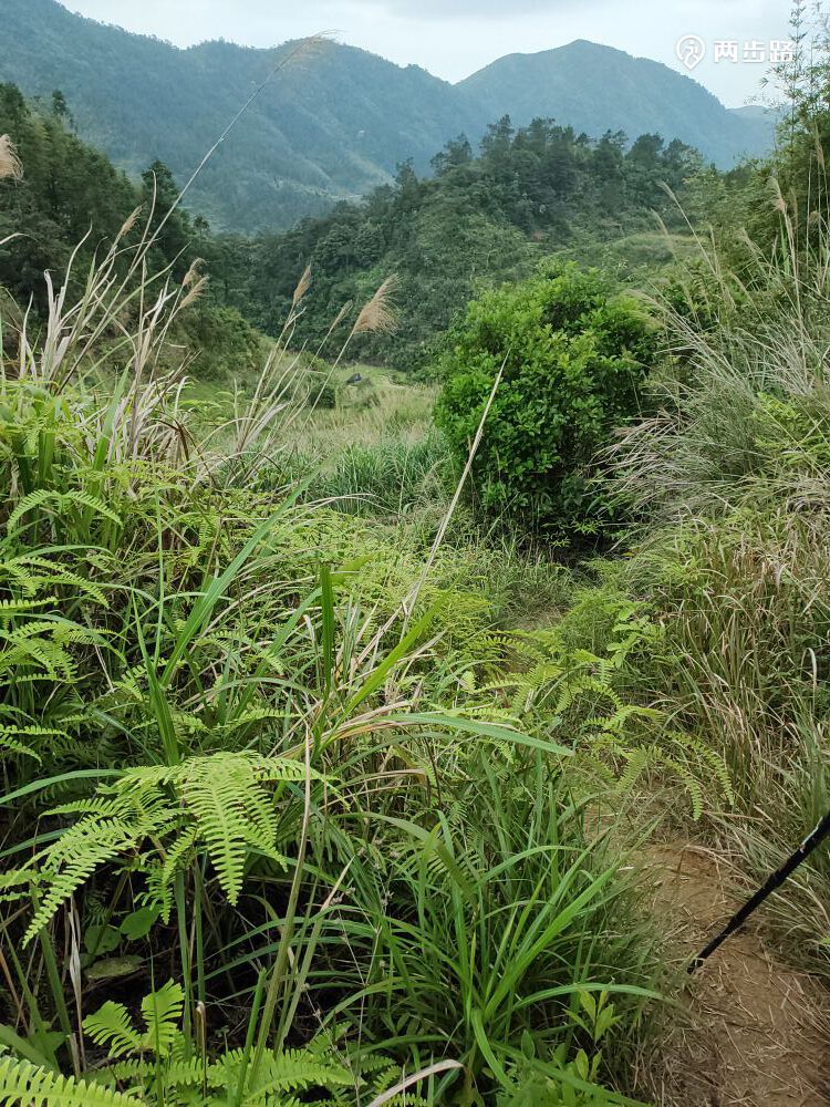 相关轨迹20210413高州大水坑