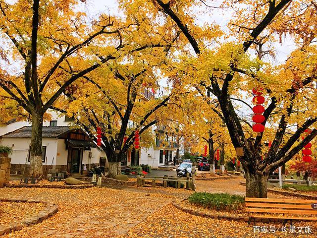 户外活动 | 11-12-长兴六八古道—古银杏十里长廊休闲徒步 |户外运动