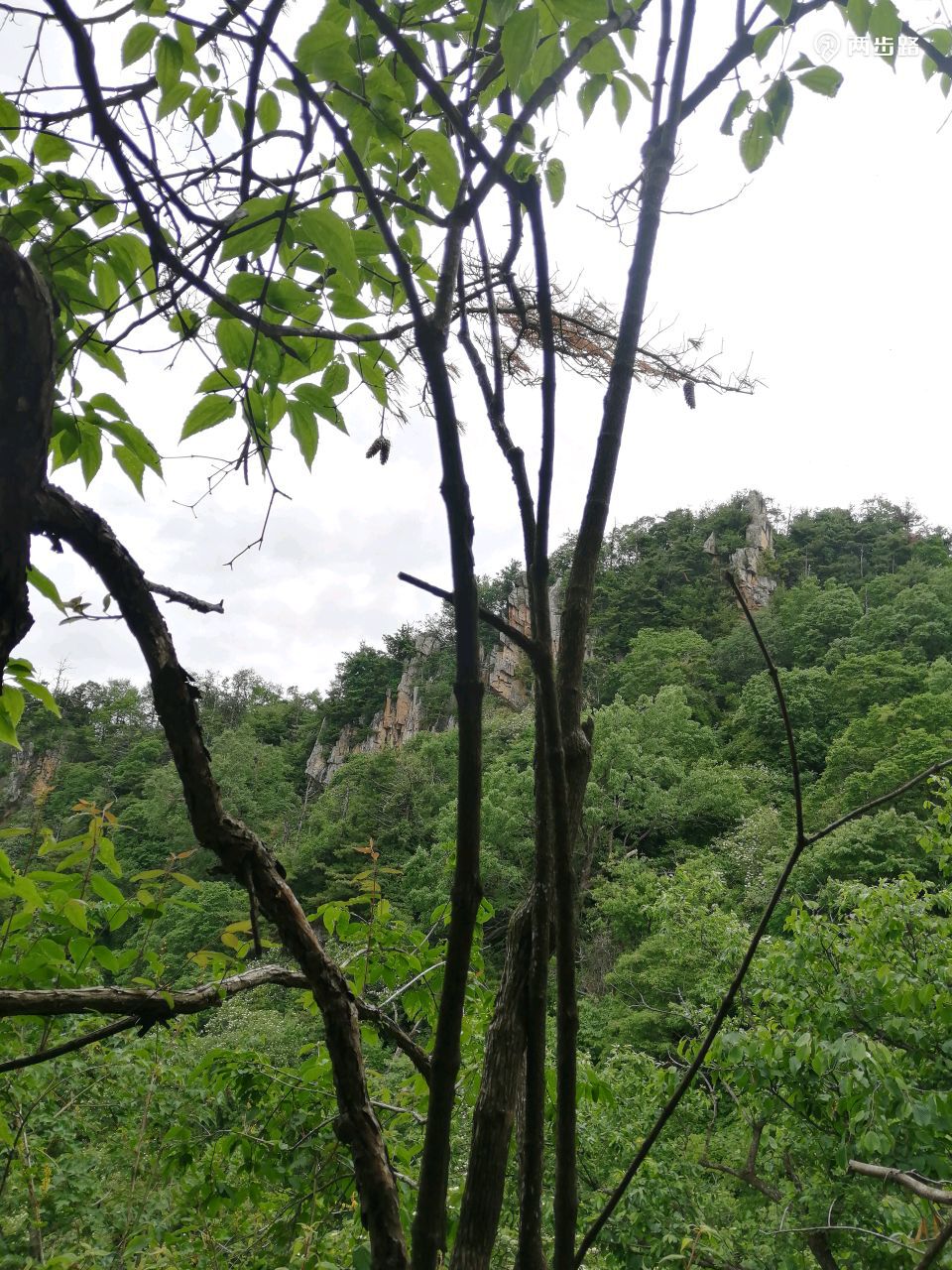 寻访终南山八卦顶,隐修人张至顺道长的茅棚