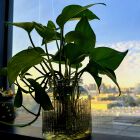 🇨🇳🇨🇳🇨🇳（⌒▽⌒）