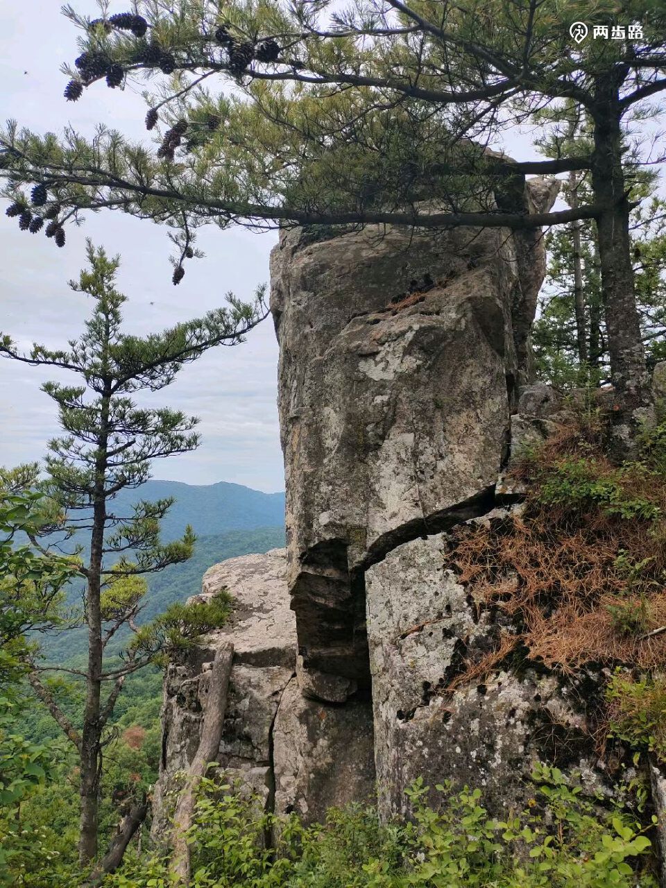 寻访终南山八卦顶,隐修人张至顺道长的茅棚