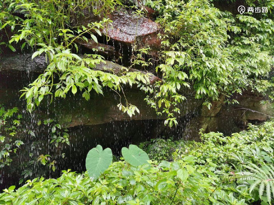 2022-07-24 上午:徒步画稿溪西溪