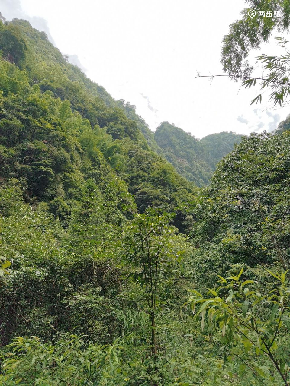 2022-07-24 上午:徒步画稿溪西溪