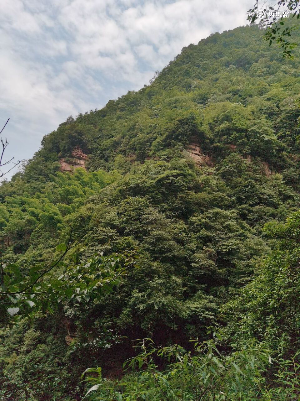 2022-07-24 上午:徒步画稿溪西溪