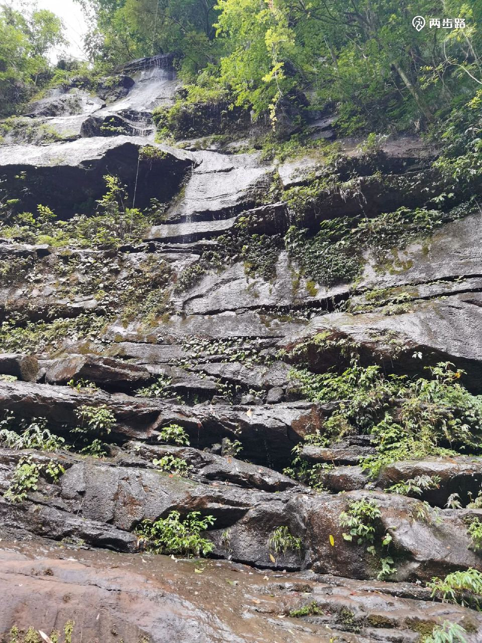 2022-07-24 上午:徒步画稿溪西溪