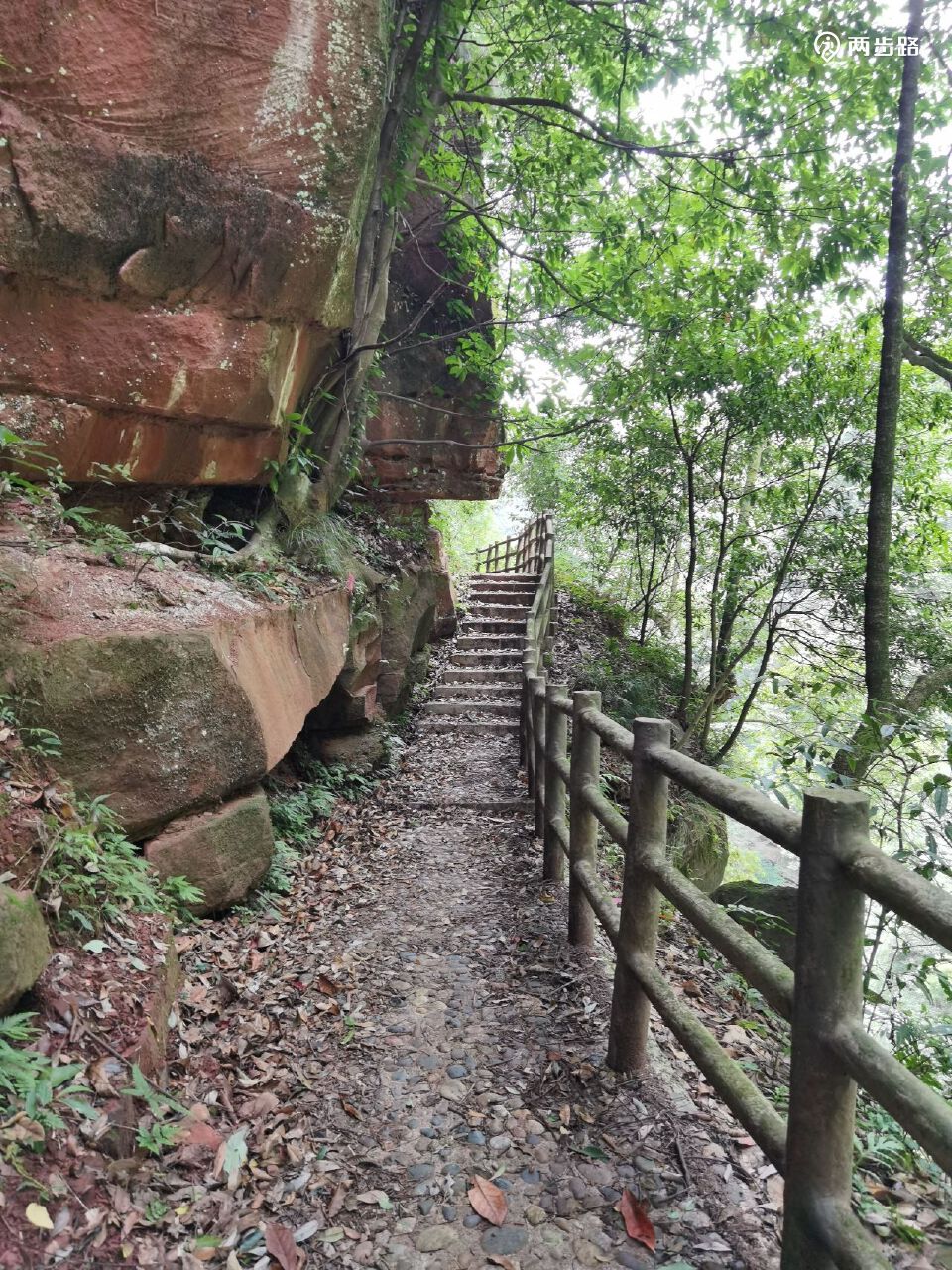 2022-07-24 上午:徒步画稿溪西溪