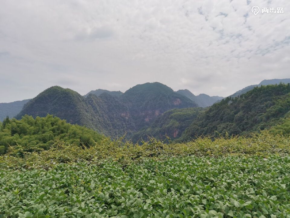 2022-07-24 上午:徒步画稿溪西溪