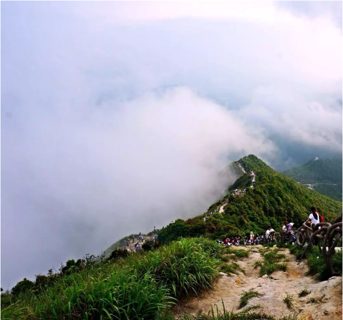 6月27日梧桐山老虎澗溯溪體驗原始溪谷