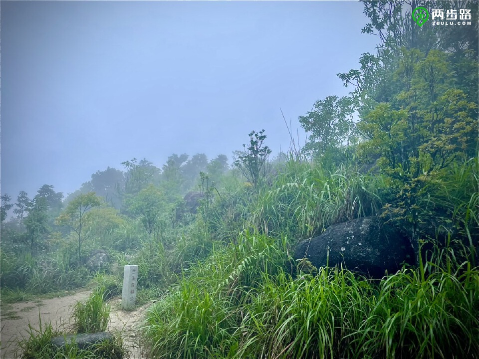 端午節惠州四方山-清溪愛心線兩天連登