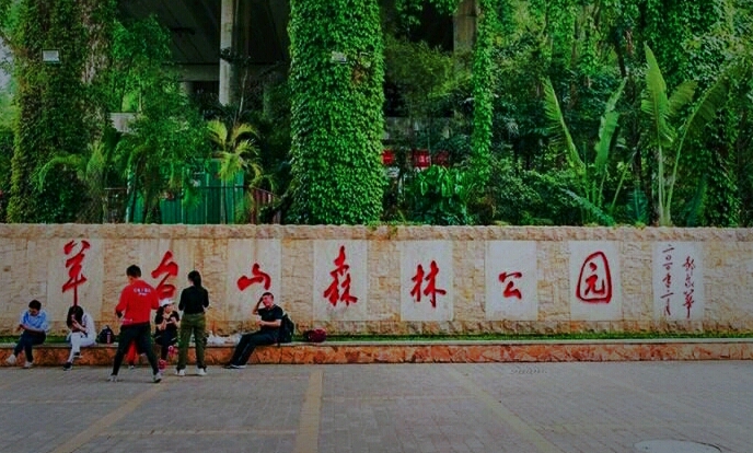 大浪羊台山广场晨跑