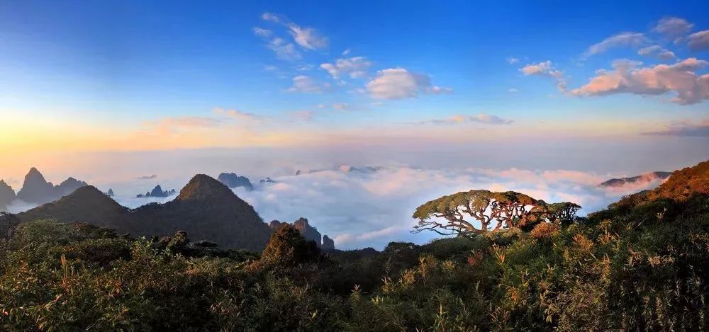 aa約伴輕裝廣西金秀聖堂山(含驢友線的鑿洞石壁,近距離看五指山) 廣西