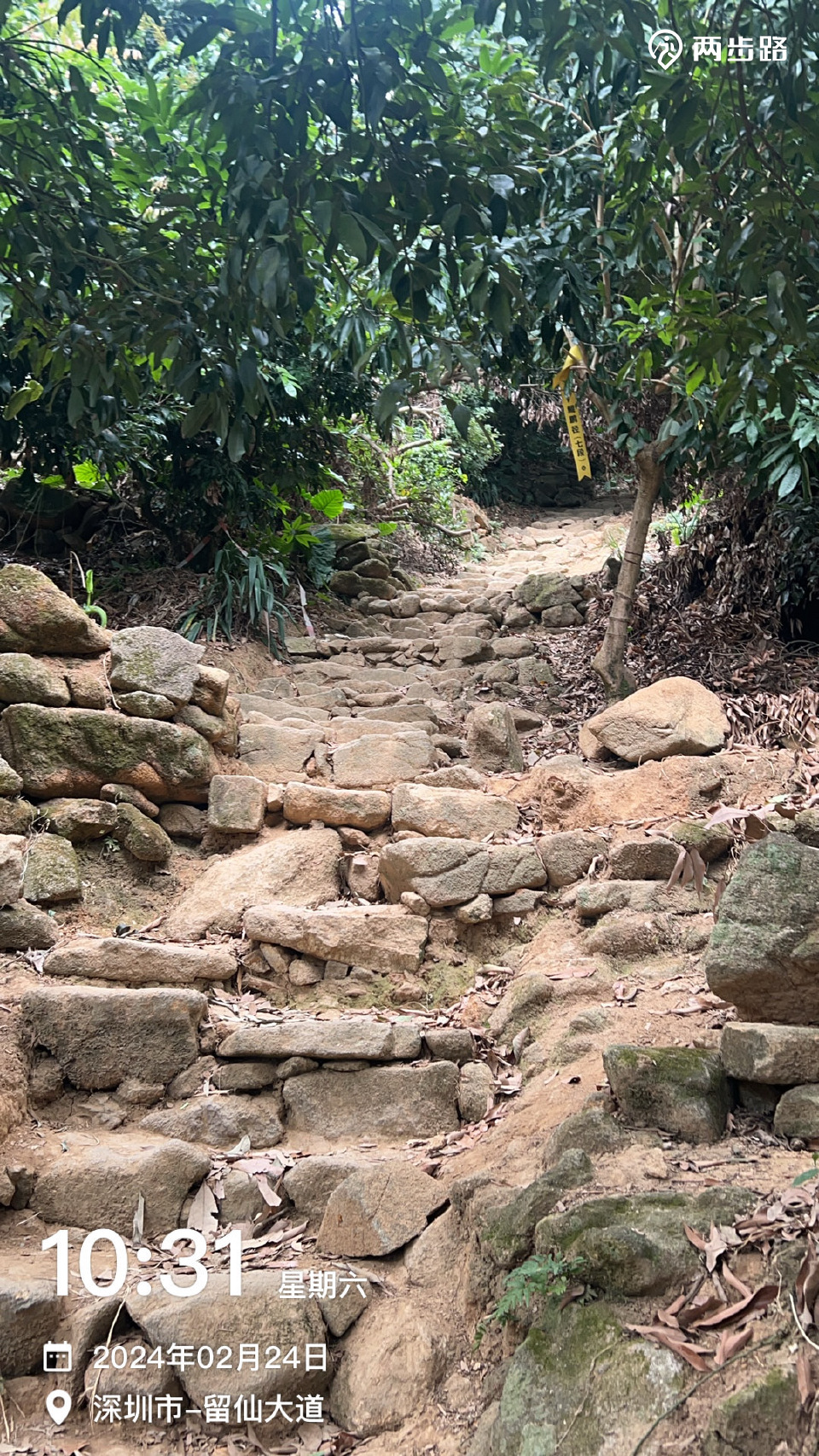 相关轨迹20240224鲲鹏径五六七八段